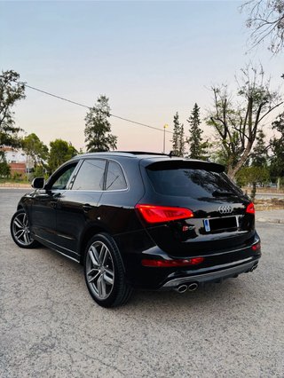 Audi SQ5 2014