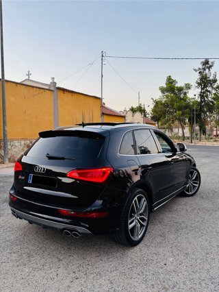 Audi SQ5 2014