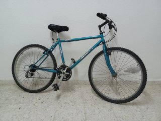 Bicicleta de Montaña