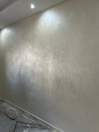 Servicios de pintura profesional y pladur