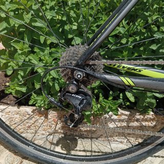 Bicicleta CX Stevens Namur