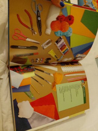 Libro ideas  de manualidades