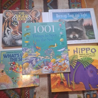 Lote de 5 libros infantiles en inglés