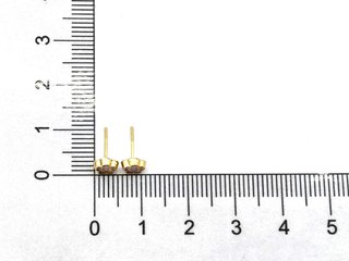 G115790-0    Pendientes Oro 18k Con Nacar