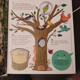 libros de inglés para niños- nivel A2