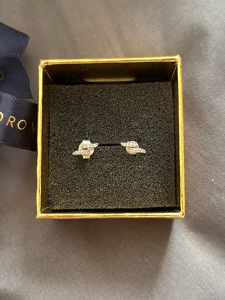 Pendientes Oro Vivo Plata