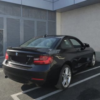 BMW Serie 2 220i coupé ¡IMPECABLE!