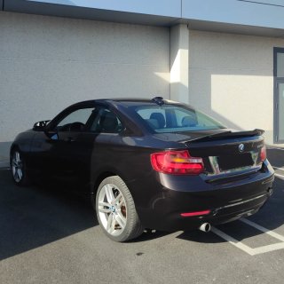 BMW Serie 2 220i coupé ¡IMPECABLE!