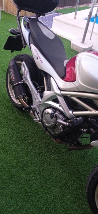 Suzuki Gladius 650