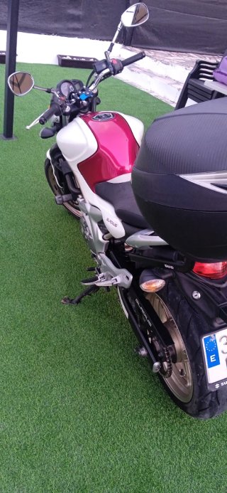 Suzuki Gladius 650