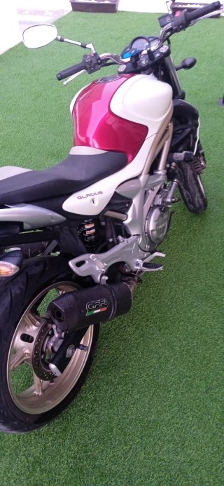 Suzuki Gladius 650