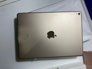 iPad Pro 9.7 256GB WiFi
