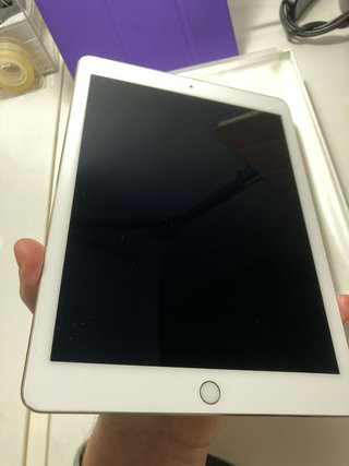 iPad Pro 9.7 256GB WiFi