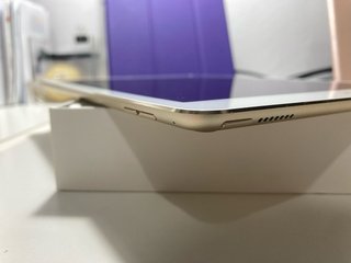 iPad Pro 9.7 256GB WiFi