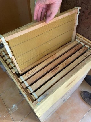 Colmenas de madera ,materiales de protección