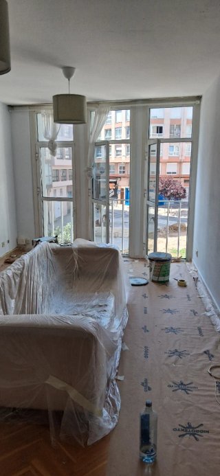 Pintor económico