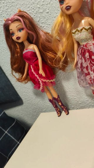 Lote 2 bambole imitazione Monster High