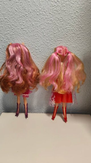 Lote 2 bambole imitazione Monster High