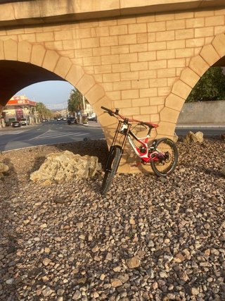 Bicicleta de Montaña Demon