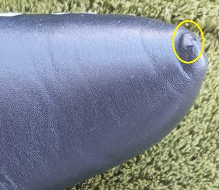 headcover Ray Cook M1 para putter de Golfe