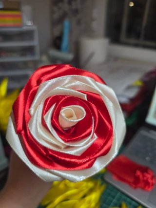 Rosas eternas bicolor (rojo y blanco)