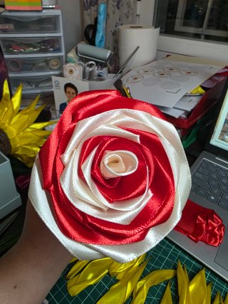 Rosas eternas bicolor (rojo y blanco)