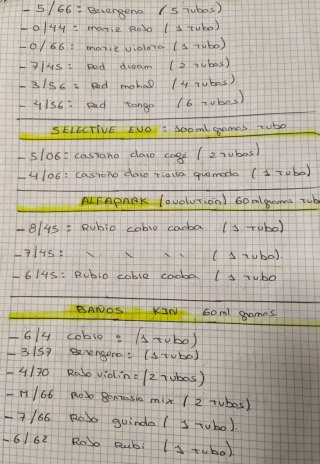 Lote 155 Tintes  y Baños,"Cierre Peluquería"