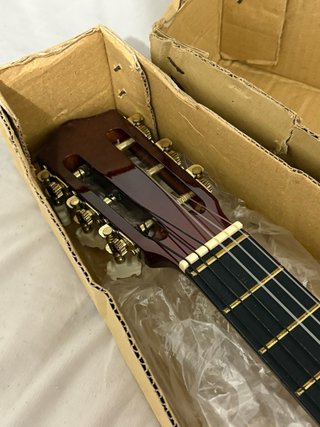 Guitarra Española Rocío C-6