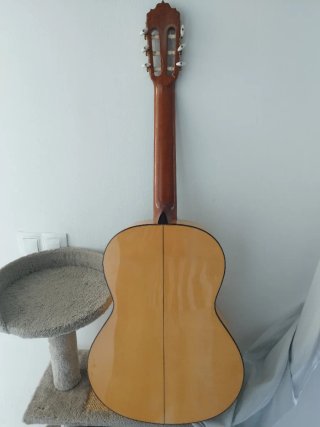 Guitarra Flamenca Alhambra 5F