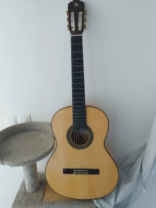 Guitarra Flamenca Alhambra 5F