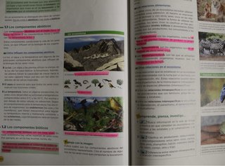 Libros biologia y geologia 1 ESO editorial Anaya