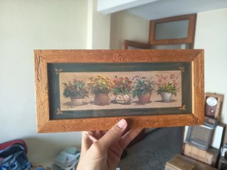 2 Cuadros flores en macetas x 10 € cada uno