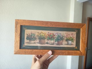 2 Cuadros flores en macetas x 10 € cada uno