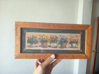 2 Cuadros flores en macetas x 10 € cada uno