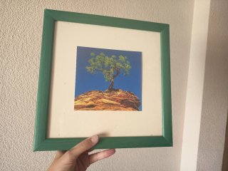 2 Cuadros Marco Verde por 6€ cada uno