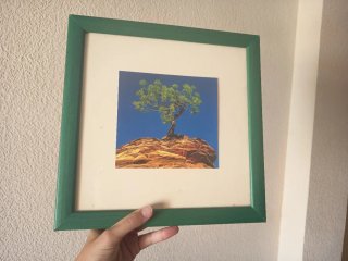 2 Cuadros Marco Verde por 6€ cada uno