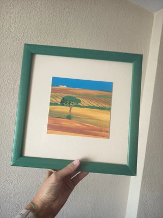 2 Cuadros Marco Verde por 6€ cada uno