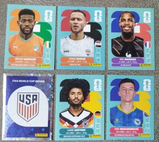 Lote 6 cromos Panini Mundial FIFA