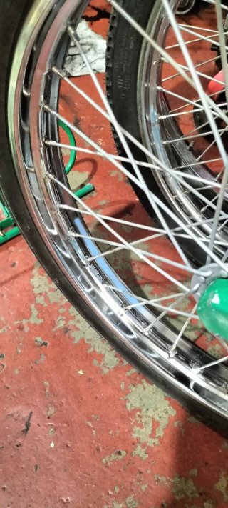 Chasis de bicicleta de carga verde