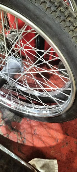 Chasis de bicicleta de carga verde