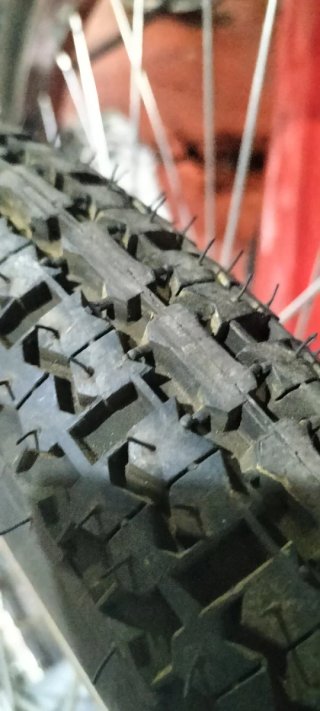 Chasis de bicicleta de carga verde