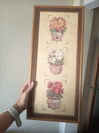 3 Cuadros Decorativos Florales por 6€ cada uno