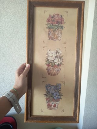 3 Cuadros Decorativos Florales por 6€ cada uno
