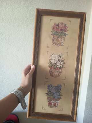 3 Cuadros Decorativos Florales por 6€ cada uno