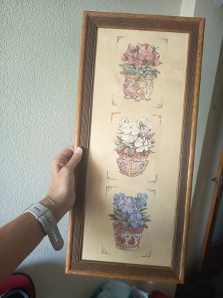 3 Cuadros Decorativos Florales por 6€ cada uno