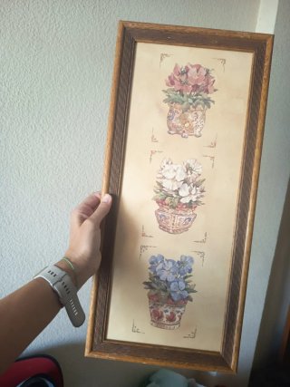 3 Cuadros Decorativos Florales por 6€ cada uno
