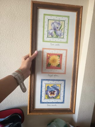 3 Cuadros Decorativos Florales por 6€ cada uno