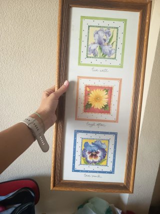 3 Cuadros Decorativos Florales por 6€ cada uno