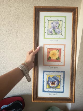 3 Cuadros Decorativos Florales por 6€ cada uno