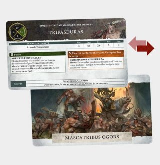 5 Gluttons + Battletome + Tarjetas